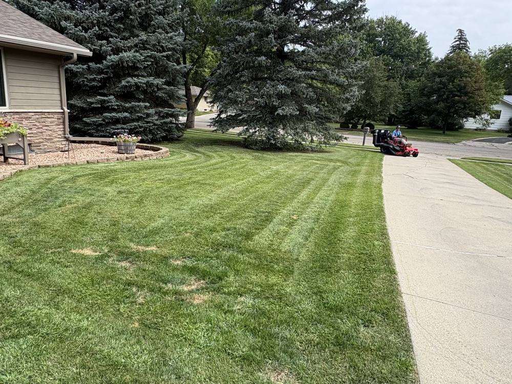 Front yard freshly mowed, zero-turn mower parked at the curb