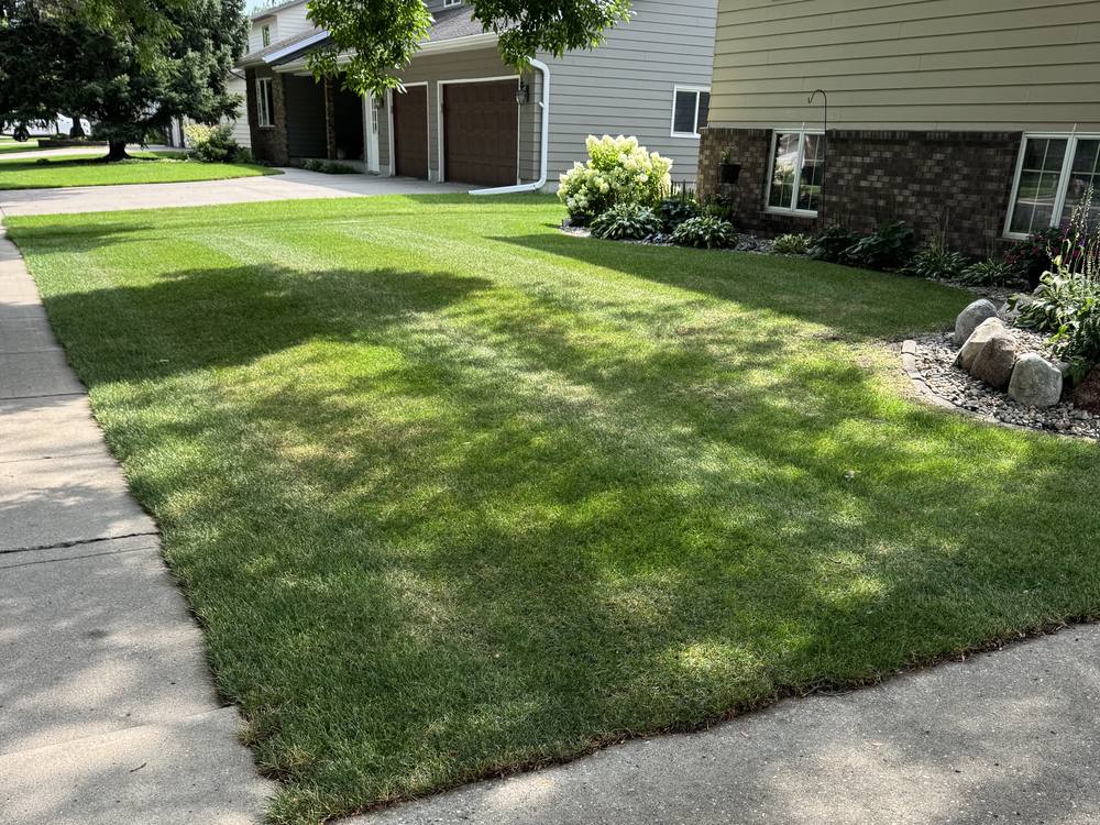 Clean edge where the lawn meets the sidewalk and driveway