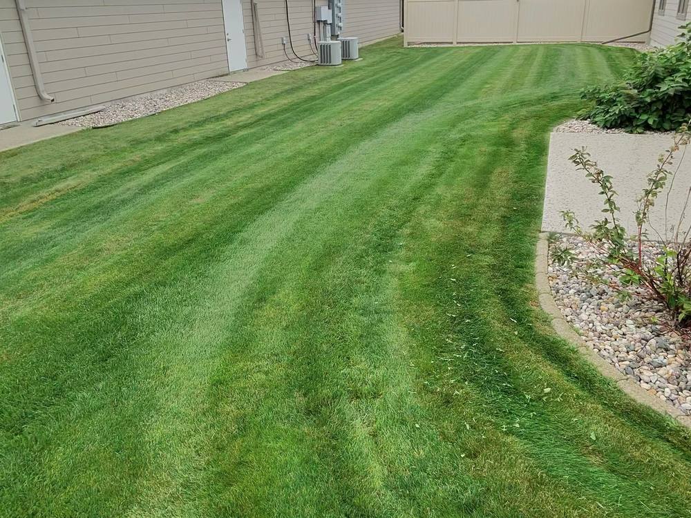 The same backyard mowed into clean stripes with a crisp edge along the rock bed