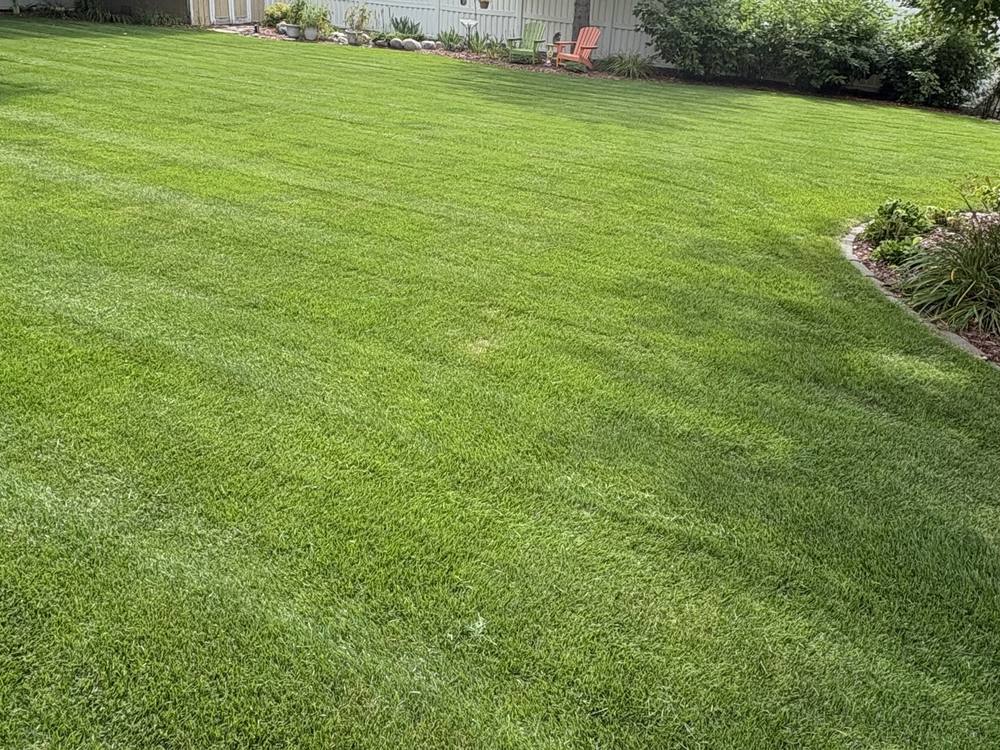 The same backyard cut clean and even, with mow lines running the length of the lawn